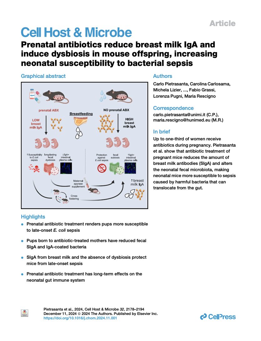 The study's graphical abstract